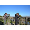 Cycle annuel de formations naturalistes Biodiversita