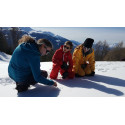 Sur les traces du loup et sports d'hiver FR Haute Savoie