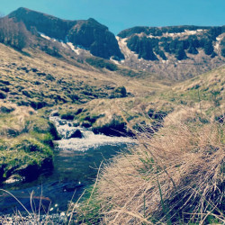 Aux sources de l'eau - Vallée de la Jordanne Auvergne