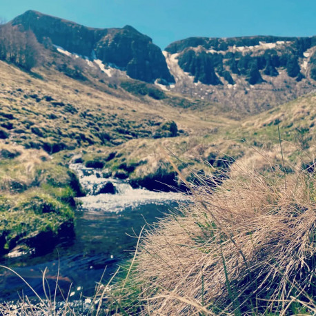 Aux sources de l'eau - Vallée de la Jordanne Auvergne