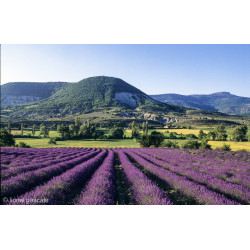 Sciences et Nature - Barronies