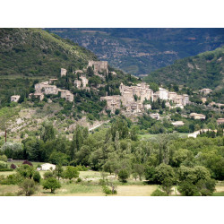 Arrivée Carpentras