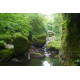 Aux sources de l'eau - Vallée de la Jordanne Auvergne