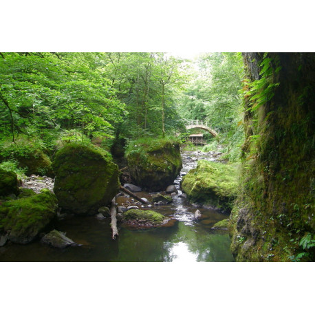 Aux sources de l'eau - Vallée de la Jordanne Auvergne