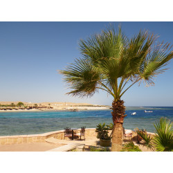 Arrivée Egypte