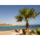 Retour Egypte