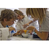 INTERNATIONAL WATER SCIENCE CAMP VITTEL INT