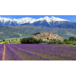 Retour Provence