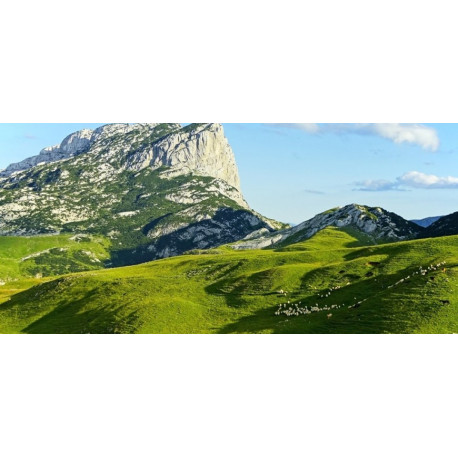 Arrivée Montenegro