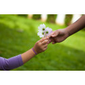 Donation to NGO - Social fund