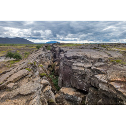 ICELAND LAB INT