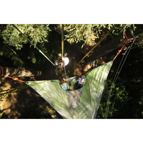 Mission Chauves-Souris - Au fil de l'Arbre Provence FR