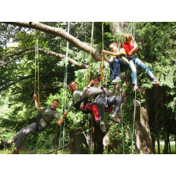 Mission Collemboles - Au fil de l'Arbre  FR