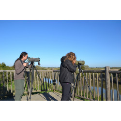 Cycle de 9 formations naturalistes Biodiversita FR