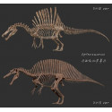 Dinosaures de l'Atlas
